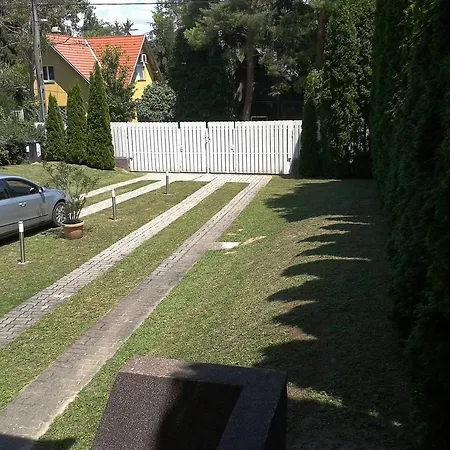 Roni Haz Siófok